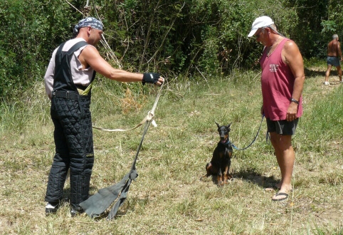 Seminar on Virgin Islands 2008